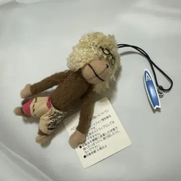 유나이티드 애로우즈 몽키 스트랩 아프로 서핑 ua