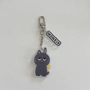 Riize 원빈 토냥덕 키링