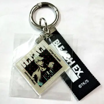 BLEACH 레코드 아크링 키링 이치고