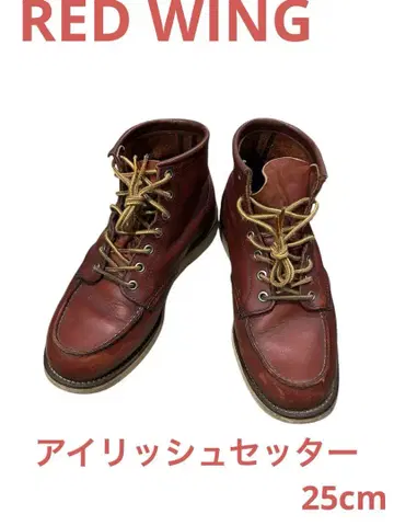 [레어 사이즈] RED WING 아이리쉬 세터 25cm