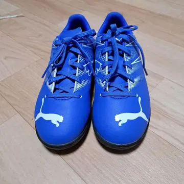 Puma 풋살화 파랑