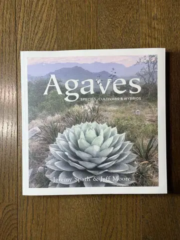 Agaves: Species, Cultivars & Hybrids