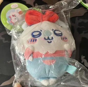 치이카와 두근두근 유원지 마스코트 모몽가