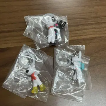 리사와 가스파르 메지루시 액세서리