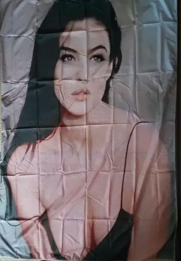 모니카 벨루치 태피스트리 클립 포함
