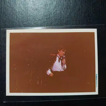 사와다 켄지 브로마이드 70