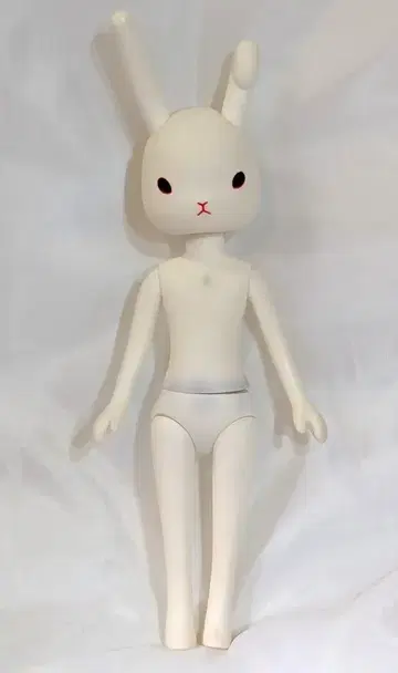 펫 웍스 토끼띠 팩