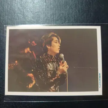 사와다 켄지 브로마이드 73