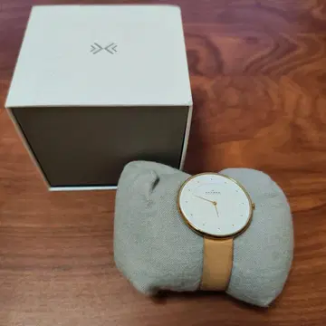 SKAGEN 손목시계