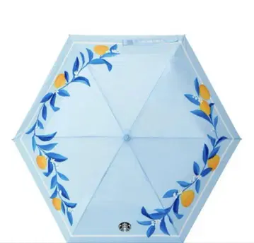 가격 인하 한국 한정판 스벅 시트러스 무늬 우산 레어 제주 한정 버전