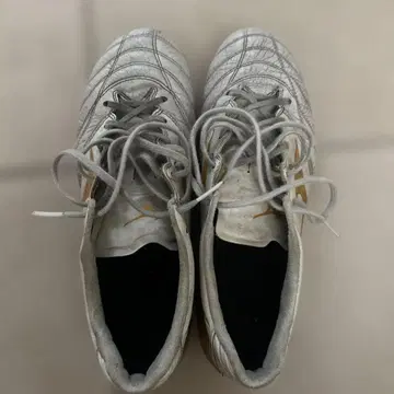 Mizuno 모나르시다 스파이크