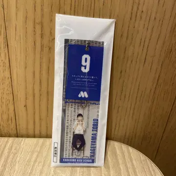 하이큐 모스버거 카게야마