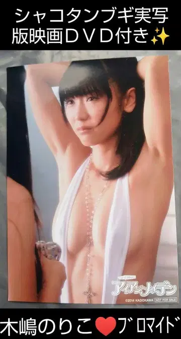 샤코탄 부기 키지마 노리코 세트 판매