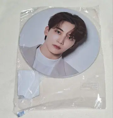 SEVENTEEN 정한 INCOMPLETE 부채