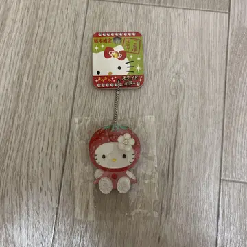 산리오 헬로키티 지역 한정 도치기 반짝이 슬라이드 거울 딸기