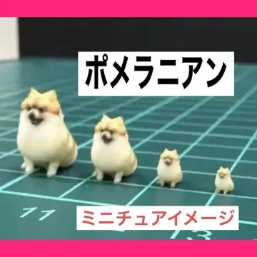 포메라니안 피규어 1/18 1/24 1/43 1/64 미니어처 강아지