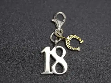ThomasSabo 토마스사보 참 SV925 18