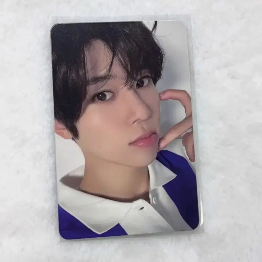 NCT WISH シオン IDカード+シュシュ NCT ZONE ポップアップ NCT WISH 公式グッズ EZL交通カード Steady Ver ウィッシュ 韓国