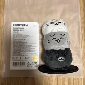 MINITEEN MAGNET PLUSH KEYRING 키링 준