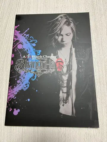 Acid Black Cherry 2014 팜플렛