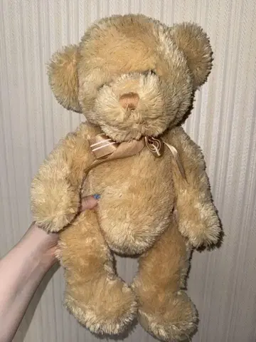 테디베어 봉제 인형
