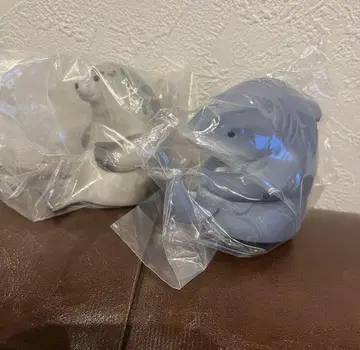기다림 말랑 저금통 물개 상어