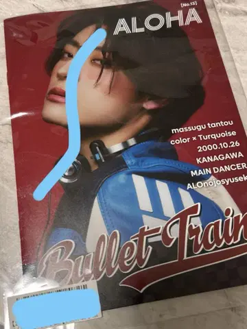 초특급 알로하 키라리 포토 소책자 알로의 조수석 B상