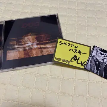 싱어즈 하이 CD DOG 특전 포함