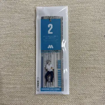 하이큐 모치후다풍 참 스가와라 코시