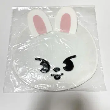 straykids 스키즈 리노 Leebit 부채 케이스