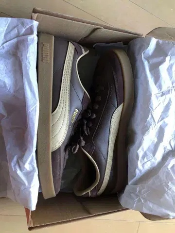 Puma Future Rider 브라운 28cm
