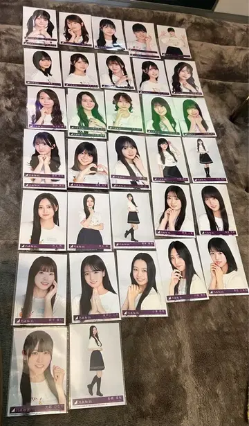 노기자카46 Same numbers 봉입 브로마이드 묶음 판매