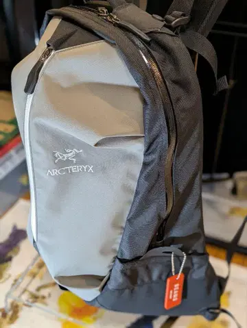 ARC'TERYX BEAMS 백팩 애로우 22 새상품급