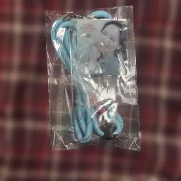 마츠다 세이코 DVD 특전