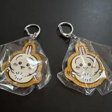치이카와 라메 아크릴 키링 4