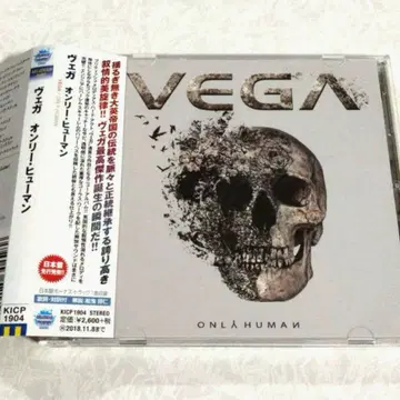 베가/온리 휴먼 VEGA 멜로하