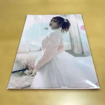 Apink 클리어 파일 6개