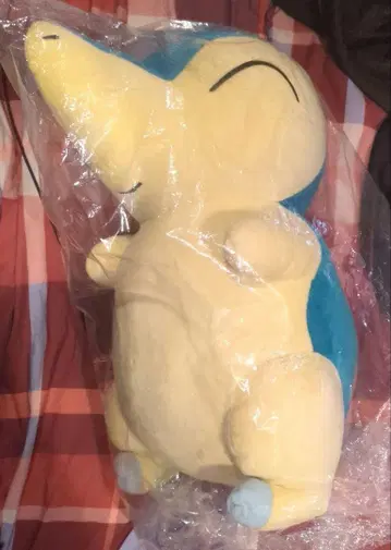 봉제 인형 등신대 히노아라시