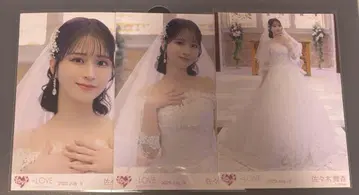 이코러브 사사키 마이카 브로마이드 컴프