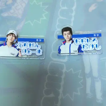 에치젠 모모시로 이름 클립