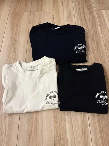 VANQUISH FITNESS 3개 세트