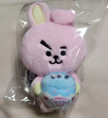 BT21 Full of COOKY