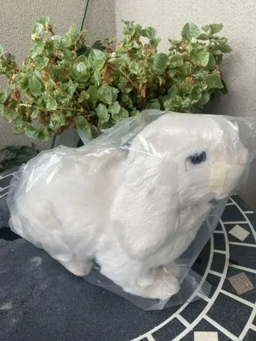 [새상품급] 홀랜드 드롭 HANSA 토끼 봉제 인형 리얼 처진귀