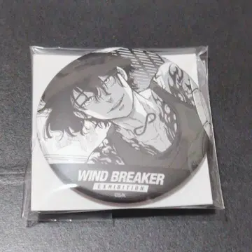 WIND BREAKER 원작 컷 캔뱃지 앵도 토우마
