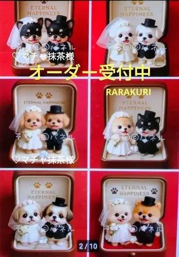 포메라니안 토이푸들 치와와 시바견 시추 말티즈 패널 오더 접수 중