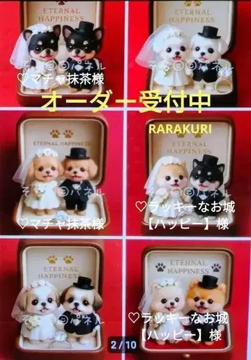 포메라니안 토이푸들 치와와 시바견 시추 말티즈 패널 오더 접수 중