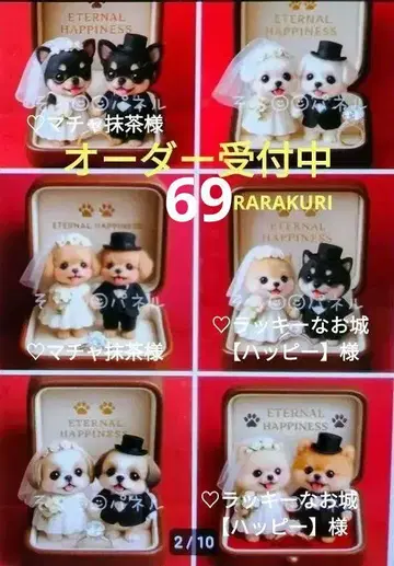 포메라니안 토이푸들 치와와 시바견 시추 말티즈 패널 오더 접수 중