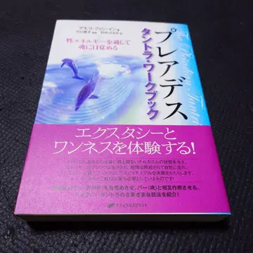 플레이아데스 탄트라 워크북: 성 에너지를 통해 영혼에 눈뜨다