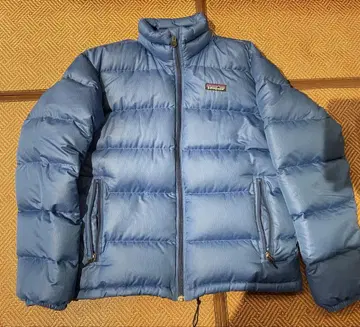 Patagonia 다운 자켓 파랑