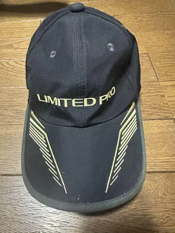 LIMITED PRO GORE WINDSTOPPER 모자